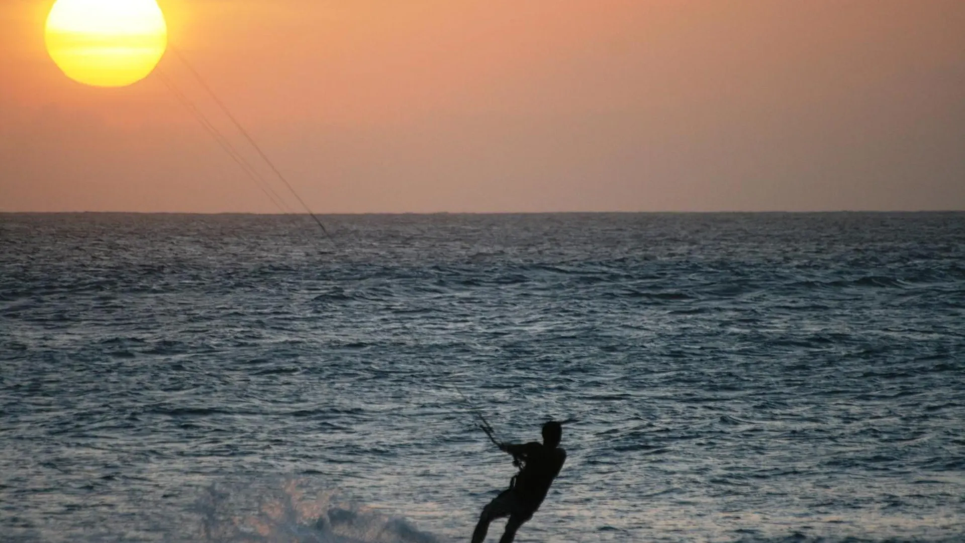 Endless Summer B6 Sal Rei